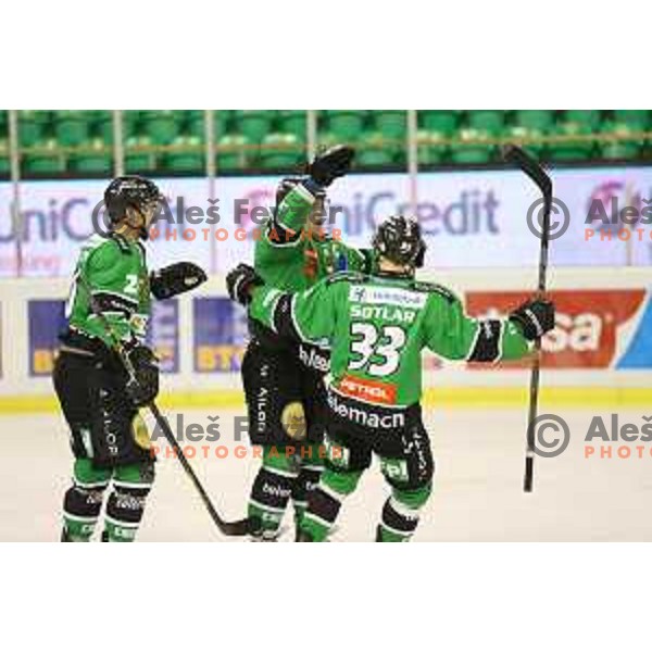of Telemach Olimpija in action during Telemach league ice-hockey match Telemach Olimpija-Graz 99ers in Tivoli Hall, Ljubljana, Slovenia on January 6,2015