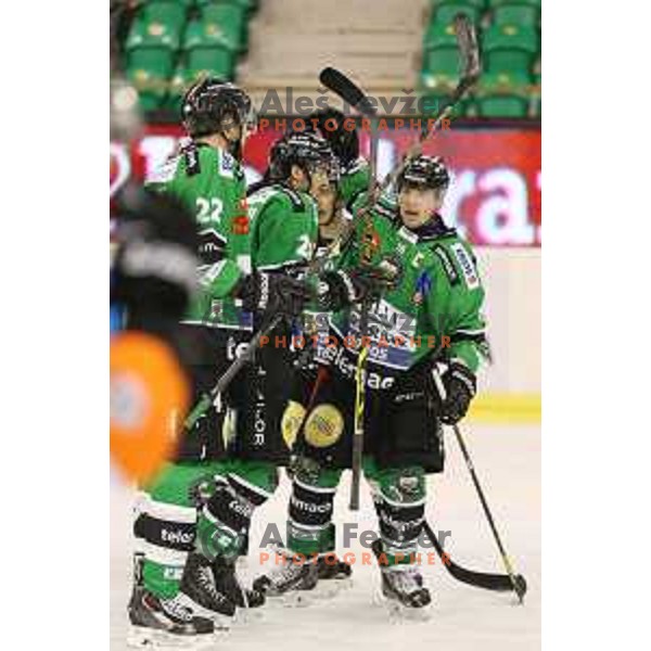 of Telemach Olimpija in action during Telemach league ice-hockey match Telemach Olimpija-Graz 99ers in Tivoli Hall, Ljubljana, Slovenia on January 6,2015