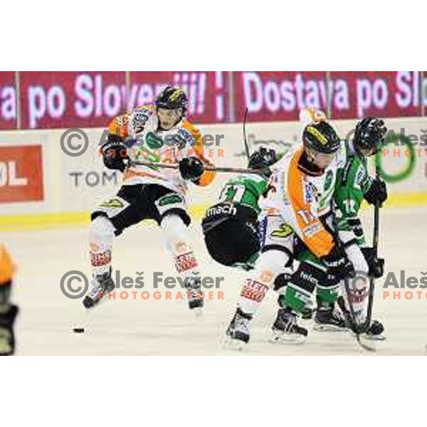 of Telemach Olimpija in action during Telemach league ice-hockey match Telemach Olimpija-Graz 99ers in Tivoli Hall, Ljubljana, Slovenia on January 6,2015