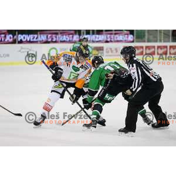 of Telemach Olimpija in action during Telemach league ice-hockey match Telemach Olimpija-Graz 99ers in Tivoli Hall, Ljubljana, Slovenia on January 6,2015