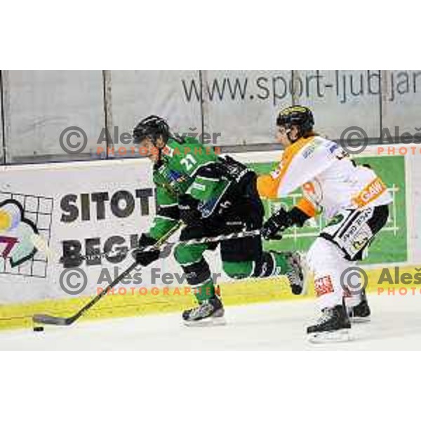 Tadej Snoj of Telemach Olimpija in action during Telemach league ice-hockey match Telemach Olimpija-Graz 99ers in Tivoli Hall, Ljubljana, Slovenia on January 6,2015
