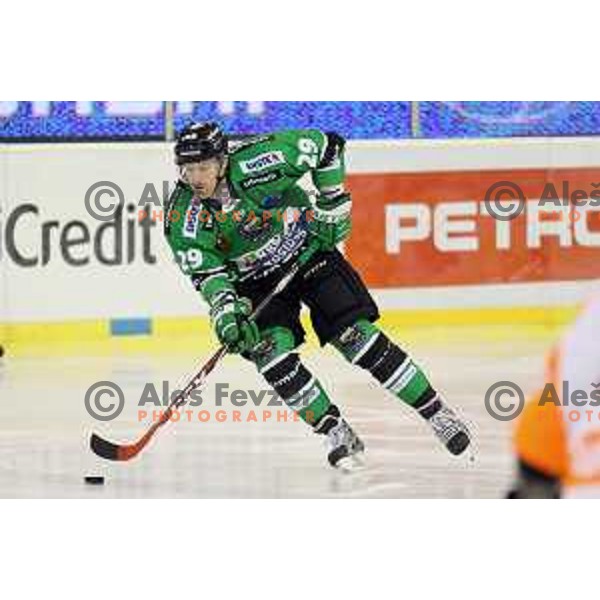 Anze Ropret of Telemach Olimpija in action during Telemach league ice-hockey match Telemach Olimpija-Graz 99ers in Tivoli Hall, Ljubljana, Slovenia on January 6,2015