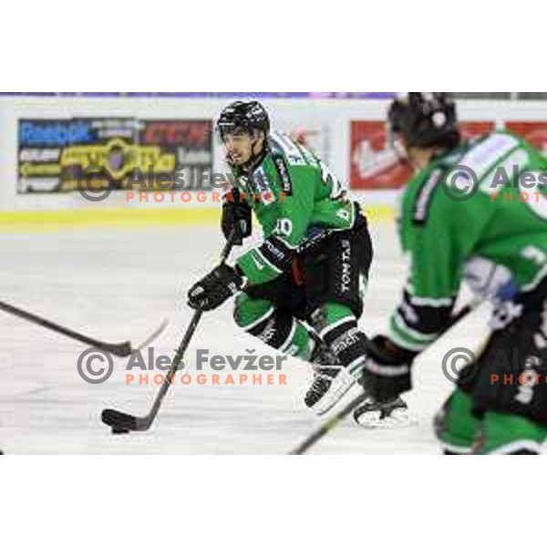 of Telemach Olimpija in action during Telemach league ice-hockey match Telemach Olimpija-Graz 99ers in Tivoli Hall, Ljubljana, Slovenia on January 6,2015