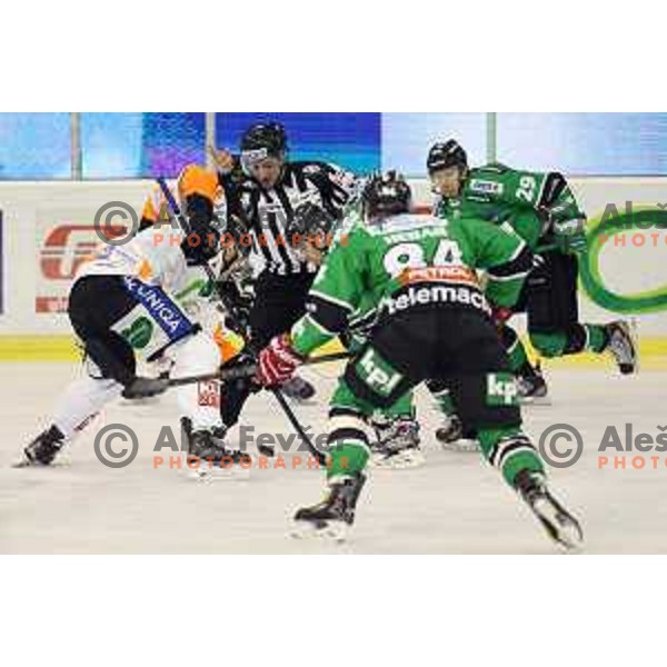 of Telemach Olimpija in action during Telemach league ice-hockey match Telemach Olimpija-Graz 99ers in Tivoli Hall, Ljubljana, Slovenia on January 6,2015