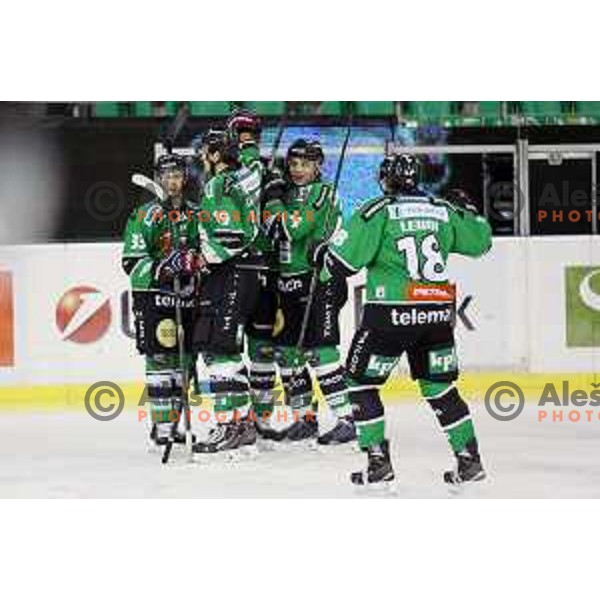 of Telemach Olimpija in action during Telemach league ice-hockey match Telemach Olimpija-Graz 99ers in Tivoli Hall, Ljubljana, Slovenia on January 6,2015