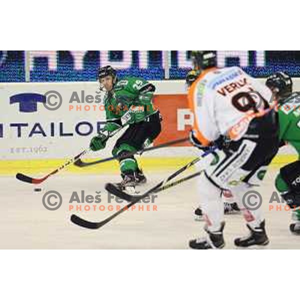 Anze Ropret of Telemach Olimpija in action during Telemach league ice-hockey match Telemach Olimpija-Graz 99ers in Tivoli Hall, Ljubljana, Slovenia on January 6,2015