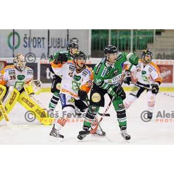 of Telemach Olimpija in action during Telemach league ice-hockey match Telemach Olimpija-Graz 99ers in Tivoli Hall, Ljubljana, Slovenia on January 6,2015