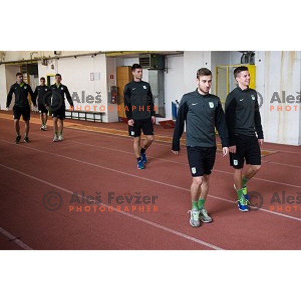 Boban Jovic, Miha Zajc during first practice of football club Olimpija, ZAK, Ljubljana, Slovenia, 08.01.2015