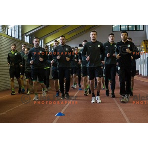 Olimpija squad during first practice of football club Olimpija, ZAK, Ljubljana, Slovenia, 08.01.2015