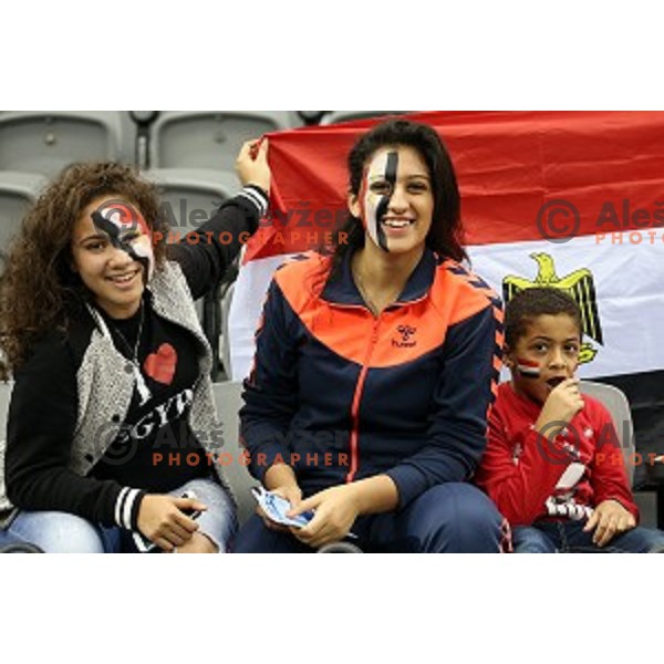 Fans of Egypt during Preliminary Group A match Slovenia-Chile at Qatar 2015 World Handball championships in Al Saad Sport Arena, Doha on January 16, 2015