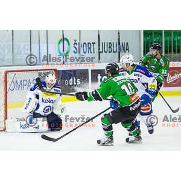 Action during ice hockey match of 39th round of EBEL League in Season 2014/15 between HDD Telemach Olimpija and EC VSV, played in Tivoli Hall, Ljubljana, Slovenia, on January 16, 2015