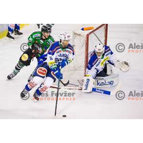 Gregor Koblar of Olimpija in action during ice hockey match of 39th round of EBEL League in Season 2014/15 between HDD Telemach Olimpija and EC VSV, played in Tivoli Hall, Ljubljana, Slovenia, on January 16, 2015