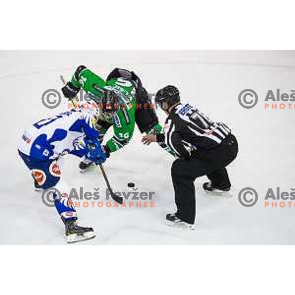 Ales Music of Olimpija in action during ice hockey match of 39th round of EBEL League in Season 2014/15 between HDD Telemach Olimpija and EC VSV, played in Tivoli Hall, Ljubljana, Slovenia, on January 16, 2015