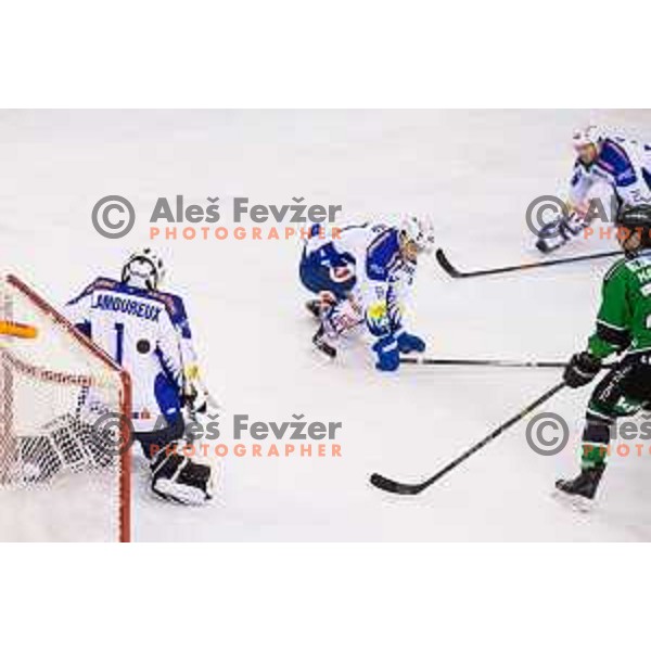 Action during ice hockey match of 39th round of EBEL League in Season 2014/15 between HDD Telemach Olimpija and EC VSV, played in Tivoli Hall, Ljubljana, Slovenia, on January 16, 2015