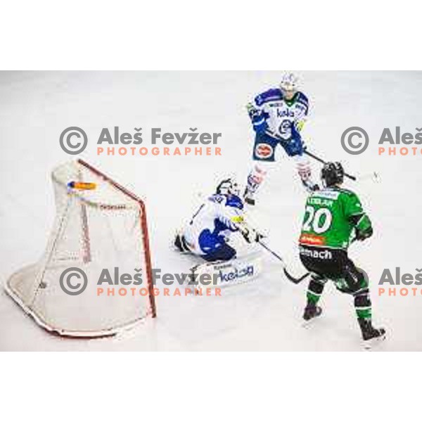 Gregor Koblar of Olimpija in action during ice hockey match of 39th round of EBEL League in Season 2014/15 between HDD Telemach Olimpija and EC VSV, played in Tivoli Hall, Ljubljana, Slovenia, on January 16, 2015