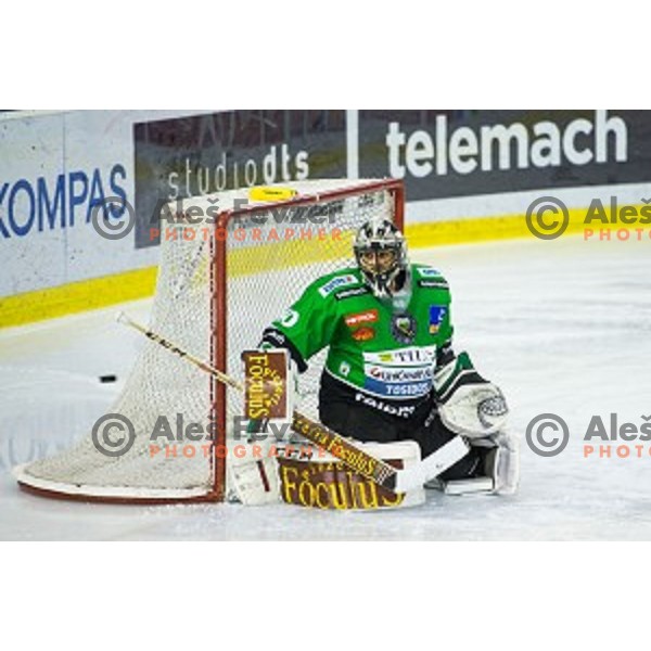 Andy Chiodo of Olimpija in action during ice hockey match of 39th round of EBEL League in Season 2014/15 between HDD Telemach Olimpija and EC VSV, played in Tivoli Hall, Ljubljana, Slovenia, on January 16, 2015
