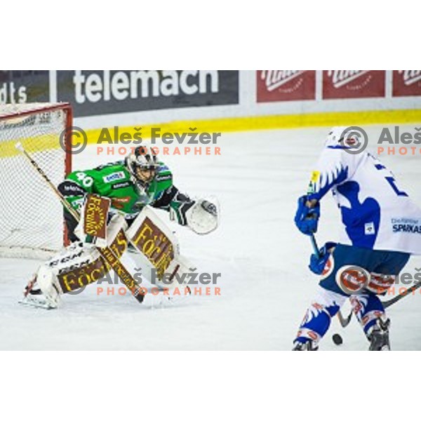 Andy Chiodo of Olimpija in action during ice hockey match of 39th round of EBEL League in Season 2014/15 between HDD Telemach Olimpija and EC VSV, played in Tivoli Hall, Ljubljana, Slovenia, on January 16, 2015