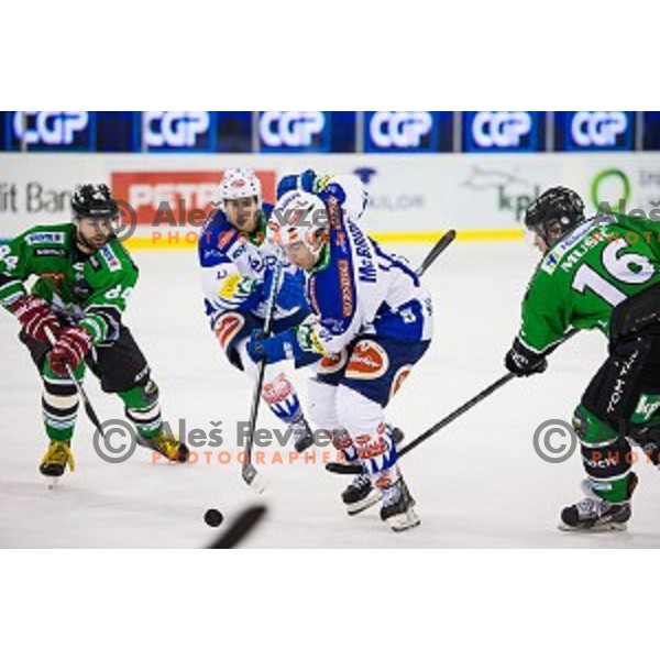 Andrej Hebar and Ales Music of Olimpija in action during ice hockey match of 39th round of EBEL League in Season 2014/15 between HDD Telemach Olimpija and EC VSV, played in Tivoli Hall, Ljubljana, Slovenia, on January 16, 2015