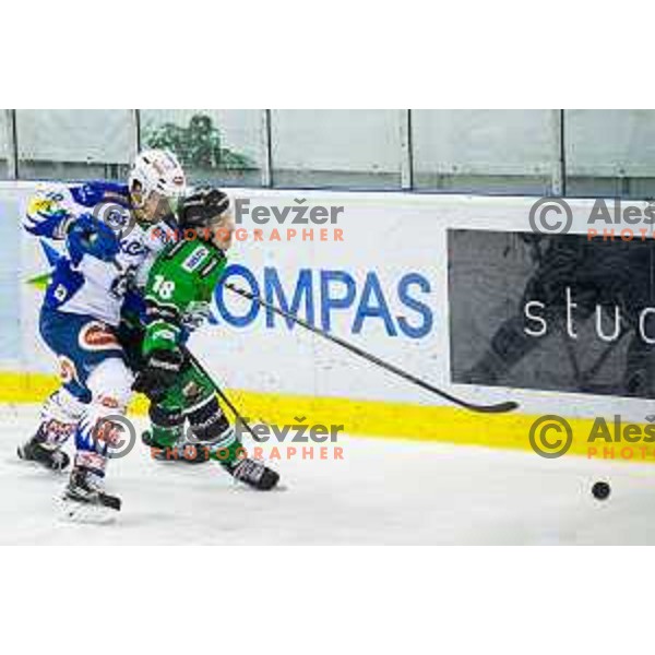 Rok Leber of Olimpija in action during ice hockey match of 39th round of EBEL League in Season 2014/15 between HDD Telemach Olimpija and EC VSV, played in Tivoli Hall, Ljubljana, Slovenia, on January 16, 2015