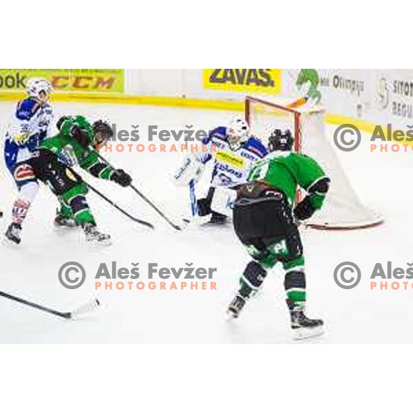 Hunter Bishop and Ziga Pesut of Olimpija in action during ice hockey match of 39th round of EBEL League in Season 2014/15 between HDD Telemach Olimpija and EC VSV, played in Tivoli Hall, Ljubljana, Slovenia, on January 16, 2015