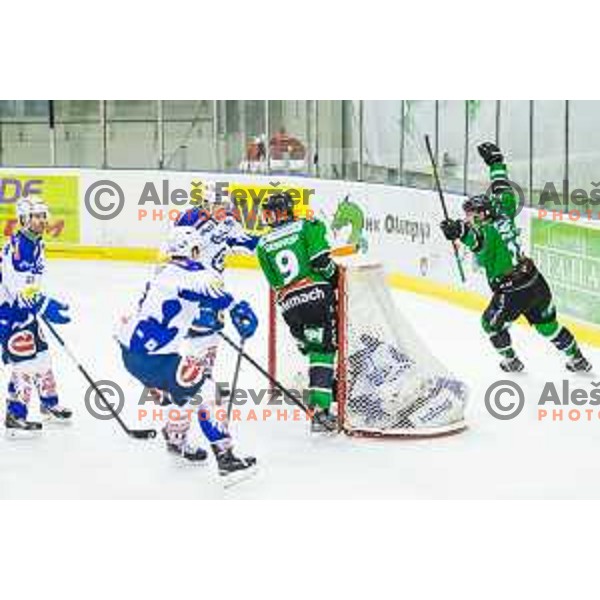 Hunter Bishop and Ziga Pesut of Olimpija in action during ice hockey match of 39th round of EBEL League in Season 2014/15 between HDD Telemach Olimpija and EC VSV, played in Tivoli Hall, Ljubljana, Slovenia, on January 16, 2015