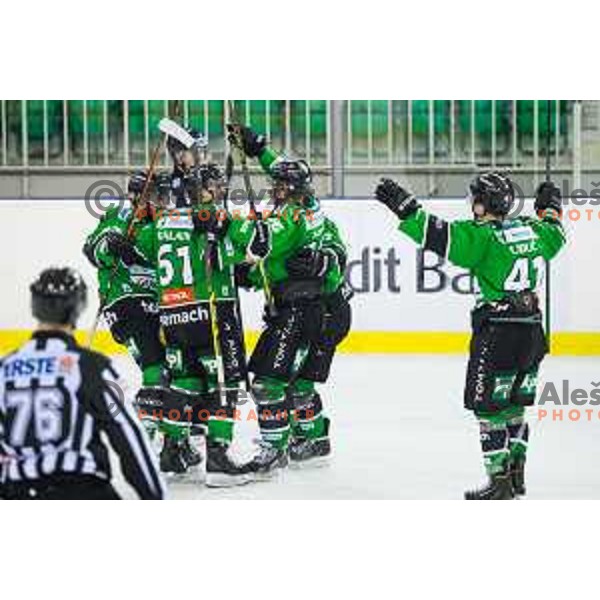 Team Olimpija during ice hockey match of 39th round of EBEL League in Season 2014/15 between HDD Telemach Olimpija and EC VSV, played in Tivoli Hall, Ljubljana, Slovenia, on January 16, 2015