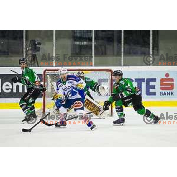 Action during ice hockey match of 39th round of EBEL League in Season 2014/15 between HDD Telemach Olimpija and EC VSV, played in Tivoli Hall, Ljubljana, Slovenia, on January 16, 2015