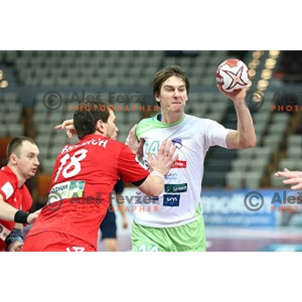 Sebastjan Skube of Slovenia in action at Preliminary Group A match Slovenia-Belarus at Qatar 2015 World Handball championships in Lusail Sport Arena, Doha on January 17, 2015