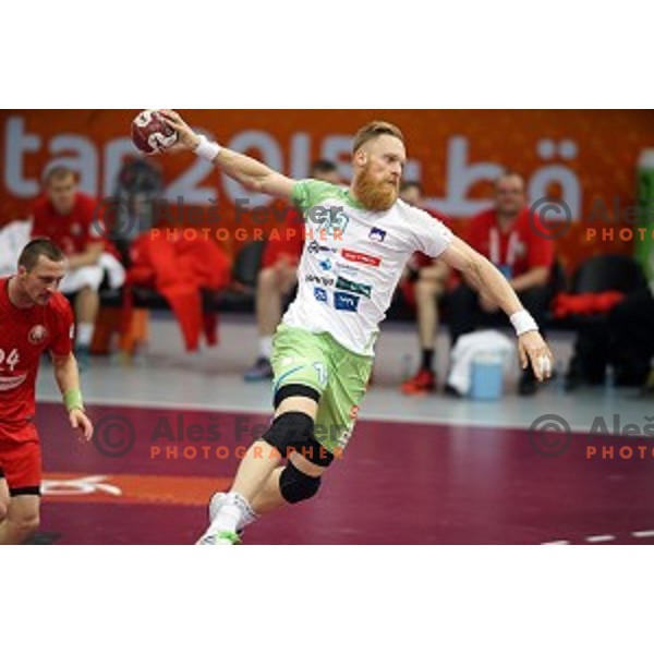 Miha Zvizej of Slovenia in action at Preliminary Group A match Slovenia-Belarus at Qatar 2015 World Handball championships in Lusail Sport Arena, Doha on January 17, 2015