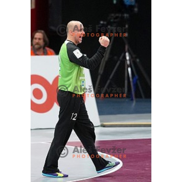 Gorazd Skof of Slovenia in action at Preliminary Group A match Slovenia-Belarus at Qatar 2015 World Handball championships in Lusail Sport Arena, Doha on January 17, 2015