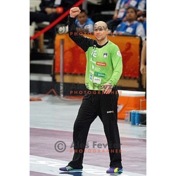 Gorazd Skof of Slovenia in action at Preliminary Group A match Slovenia-Belarus at Qatar 2015 World Handball championships in Lusail Sport Arena, Doha on January 17, 2015