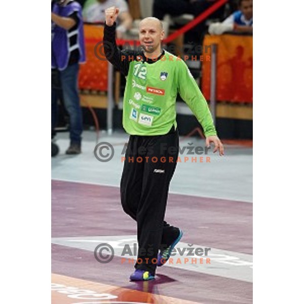 Gorazd Skof of Slovenia in action at Preliminary Group A match Slovenia-Belarus at Qatar 2015 World Handball championships in Lusail Sport Arena, Doha on January 17, 2015