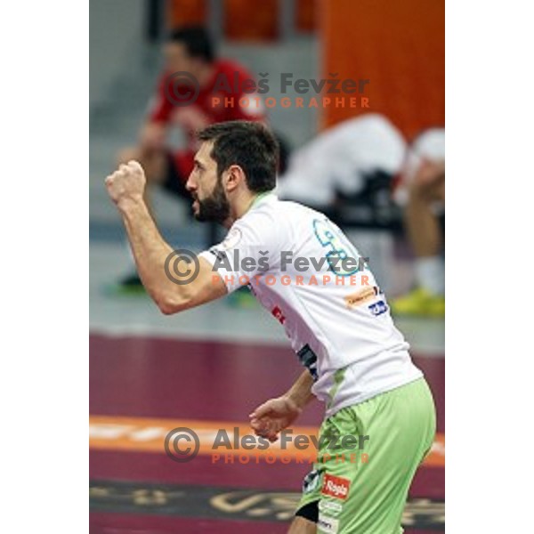 Dragan Gajic of Slovenia in action at Preliminary Group A match Slovenia-Belarus at Qatar 2015 World Handball championships in Lusail Sport Arena, Doha on January 17, 2015