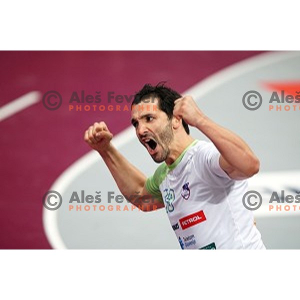 David Spiler of Slovenia in action at Preliminary Group A match Slovenia-Belarus at Qatar 2015 World Handball championships in Lusail Sport Arena, Doha on January 17, 2015