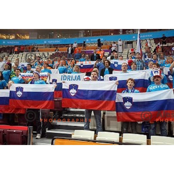 action at Preliminary Group A match Slovenia-Belarus at Qatar 2015 World Handball championships in Lusail Sport Arena, Doha on January 17, 2015