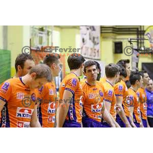 Eric Mochalski and other players of ACH Volley during volleyball game between Salonit Anhovo and ACH Volley, final match of Slovenia Volleyball Cup 2015, 17.1.2015 in OŠ Šempeter, Šempeter