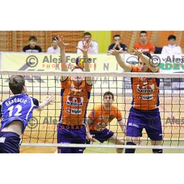 Michal Kozlowski and Jan Kozamernik of ACH Volley during volleyball game between Salonit Anhovo and ACH Volley, final match of Slovenia Volleyball Cup 2015, 17.1.2015 in OŠ Šempeter, Šempeter