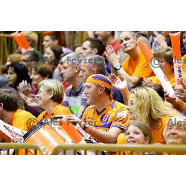 Supporters of ACH Volley during volleyball game between Salonit Anhovo and ACH Volley, final match of Slovenia Volleyball Cup 2015, 17.1.2015 in OŠ Šempeter, Šempeter