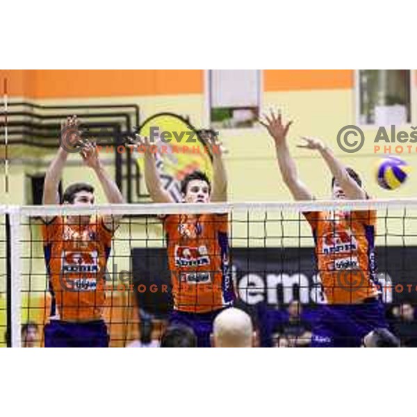 Eric Mochalski, Jan Kozamernik and Nathan Roberts of ACH Volley during volleyball game between Salonit Anhovo and ACH Volley, final match of Slovenia Volleyball Cup 2015, 17.1.2015 in OŠ Šempeter, Šempeter