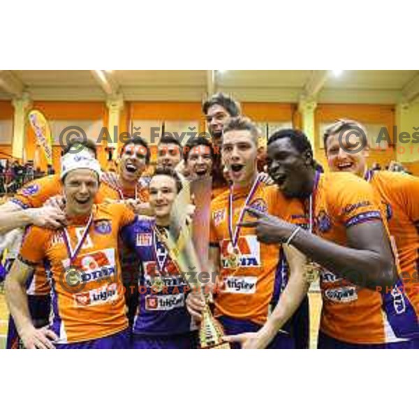 Matija Pleško, Eric Mochalski, Miha Plot, Stipe Jurić, Jan Klobučar, Mario Koncilja, Sem Dolegombai, Michal Kozlowski and other players of ACH Volley celebrating victory during volleyball game between Salonit Anhovo and ACH Volley, final match of Slovenia Volleyball Cup 2015, 17.1.2015 in OŠ Šempeter, Šempeter