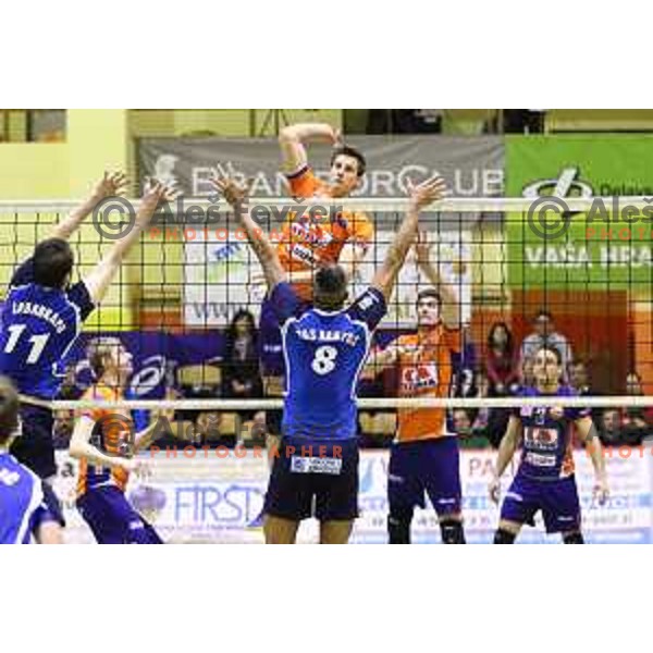 Jan Kozamernik of ACH Volley during volleyball game between ACH Volley and Salonit Anhovo, final match of Slovenia Volleyball Cup 2015, 17.1.2015 in OŠ Šempeter, Šempeter