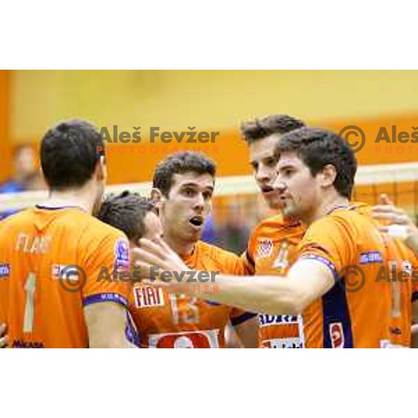 Andrej Flajs, Eric Mochalski, Jan Kozamernik and Jure Kasnik of ACH Volley celebrating during volleyball game between Salonit Anhovo and ACH Volley, final match of Slovenia Volleyball Cup 2015, 17.1.2015 in OŠ Šempeter, Šempeter 