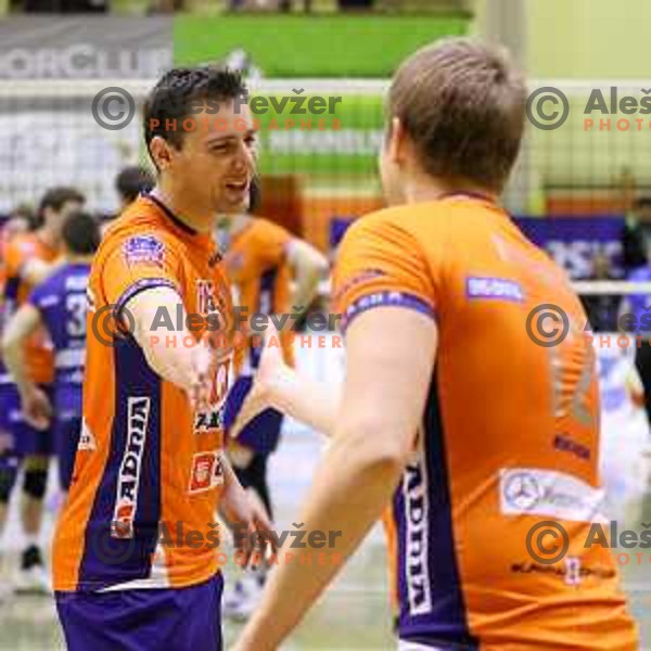 Andrej Flajs and Michal Kozlowski of ACH Volley during volleyball game between Salonit Anhovo and ACH Volley, final match of Slovenia Volleyball Cup 2015, 17.1.2015 in OŠ Šempeter, Šempeter