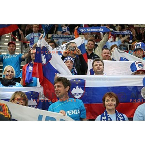 Fans of Slovenia in action at Preliminary Group A match Slovenia-Qatar at Qatar 2015 World Handball championships in Lusail Sport Arena, Doha on January 19, 2015