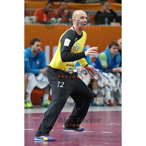 action at Preliminary Group A match Slovenia-Qatar at Qatar 2015 World Handball championships in Lusail Sport Arena, Doha on January 19, 2015