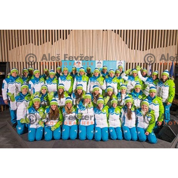 Press conference of Slovenian youth olympic team before European Youth Olympic Festival Vorarlberg 2015, Bled, Slovenia, on January 21, 2015