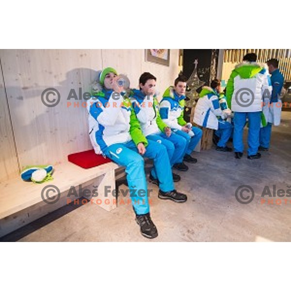 Press conference of Slovenian youth olympic team before European Youth Olympic Festival Vorarlberg 2015, Bled, Slovenia, on January 21, 2015