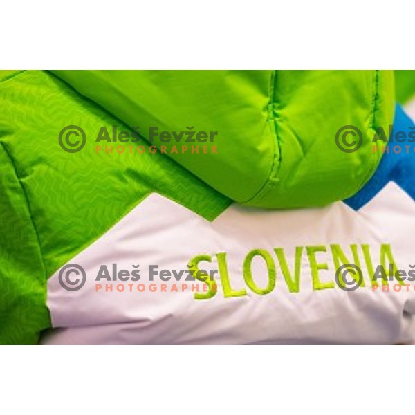 Press conference of Slovenian youth olympic team before European Youth Olympic Festival Vorarlberg 2015, Bled, Slovenia, on January 21, 2015