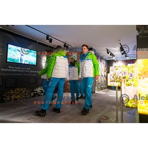 Press conference of Slovenian youth olympic team before European Youth Olympic Festival Vorarlberg 2015, Bled, Slovenia, on January 21, 2015