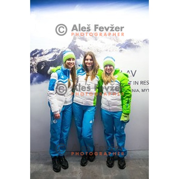 Press conference of Slovenian youth olympic team before European Youth Olympic Festival Vorarlberg 2015, Bled, Slovenia, on January 21, 2015